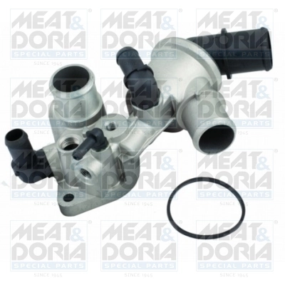 Thermostat, coolant